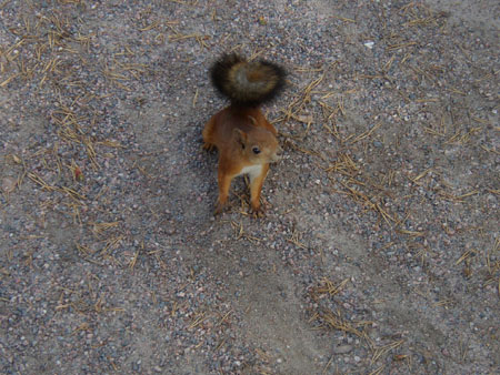 helsinki_137