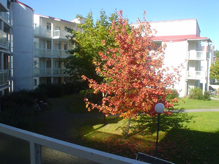 chez_nous_2