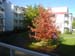 chez_nous_2