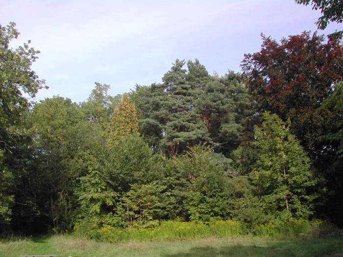 DSCN1096