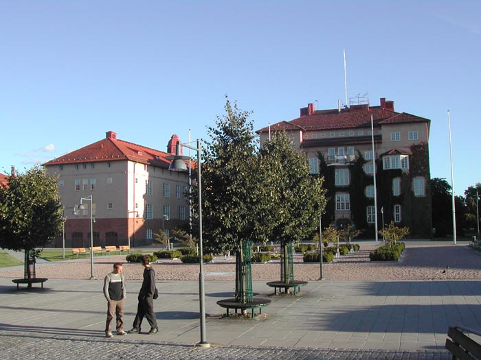 DSCN0990